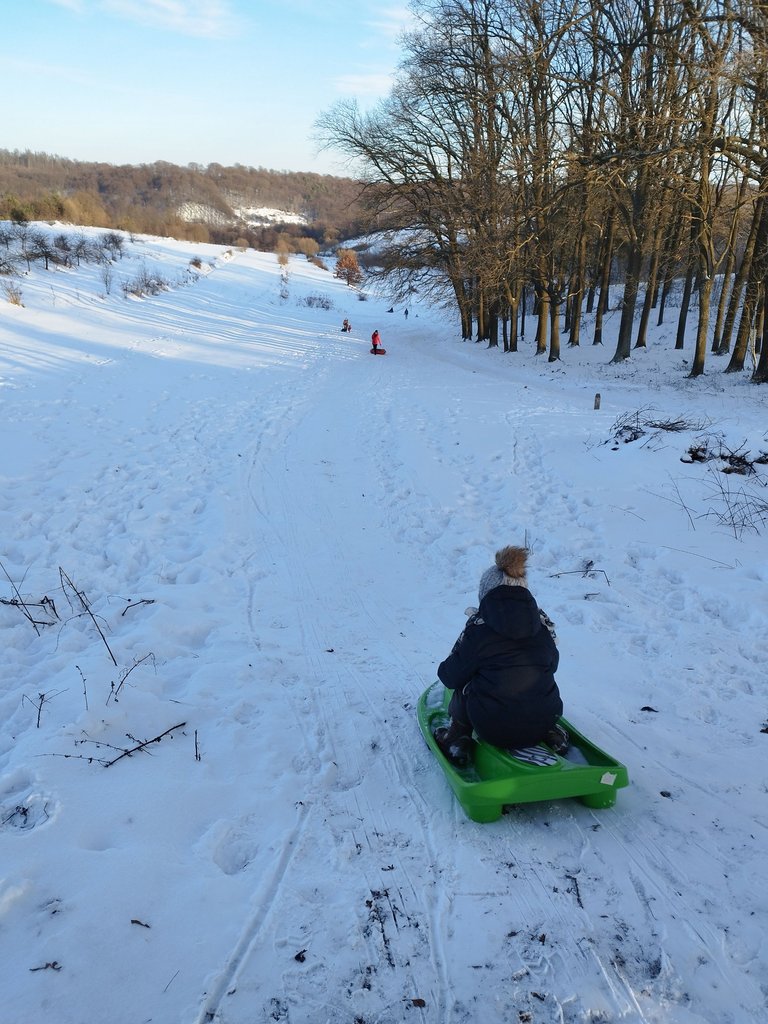 IMG_20240116_154611.jpg