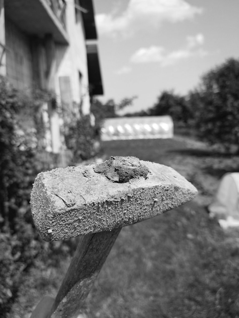 homestead 4.jpg