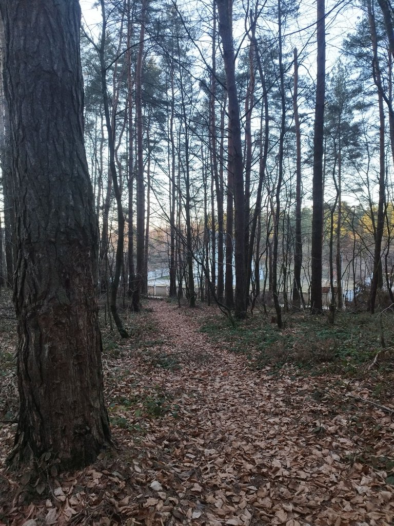 IMG_20250325_180547.jpg