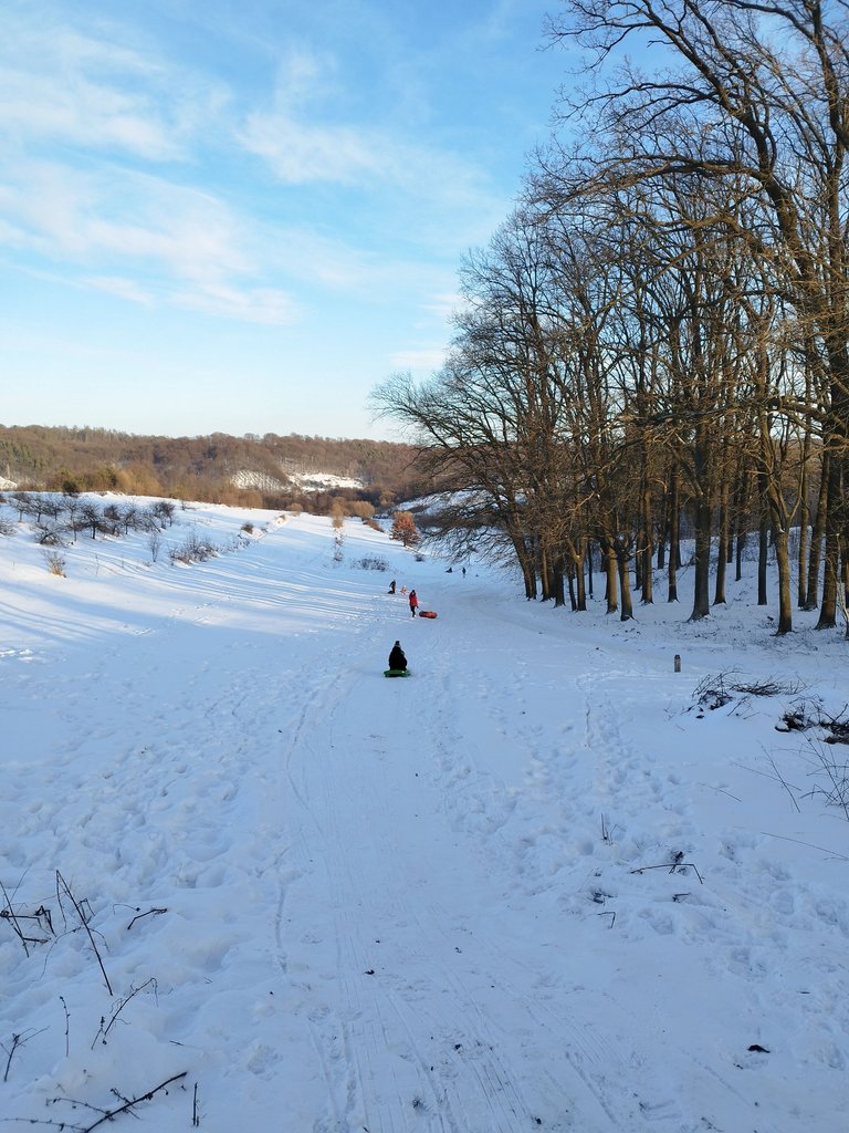 IMG_20240116_154614.jpg