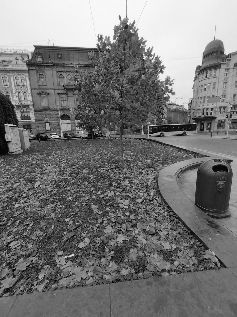 bw_lviv05.jpg