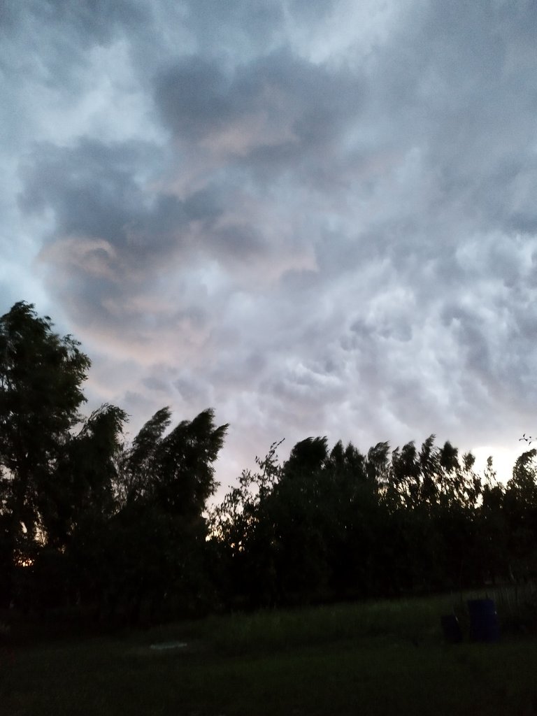 IMG_20240714_211756.jpg
