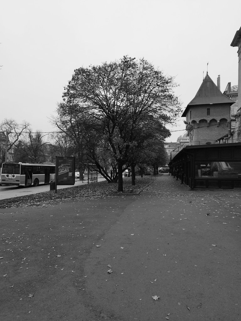 bw_lviv04.jpg