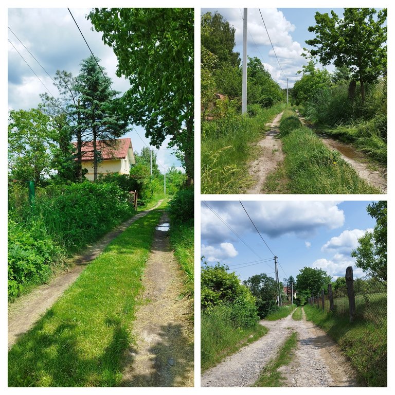 IMG_20250609_135742-COLLAGE.jpg