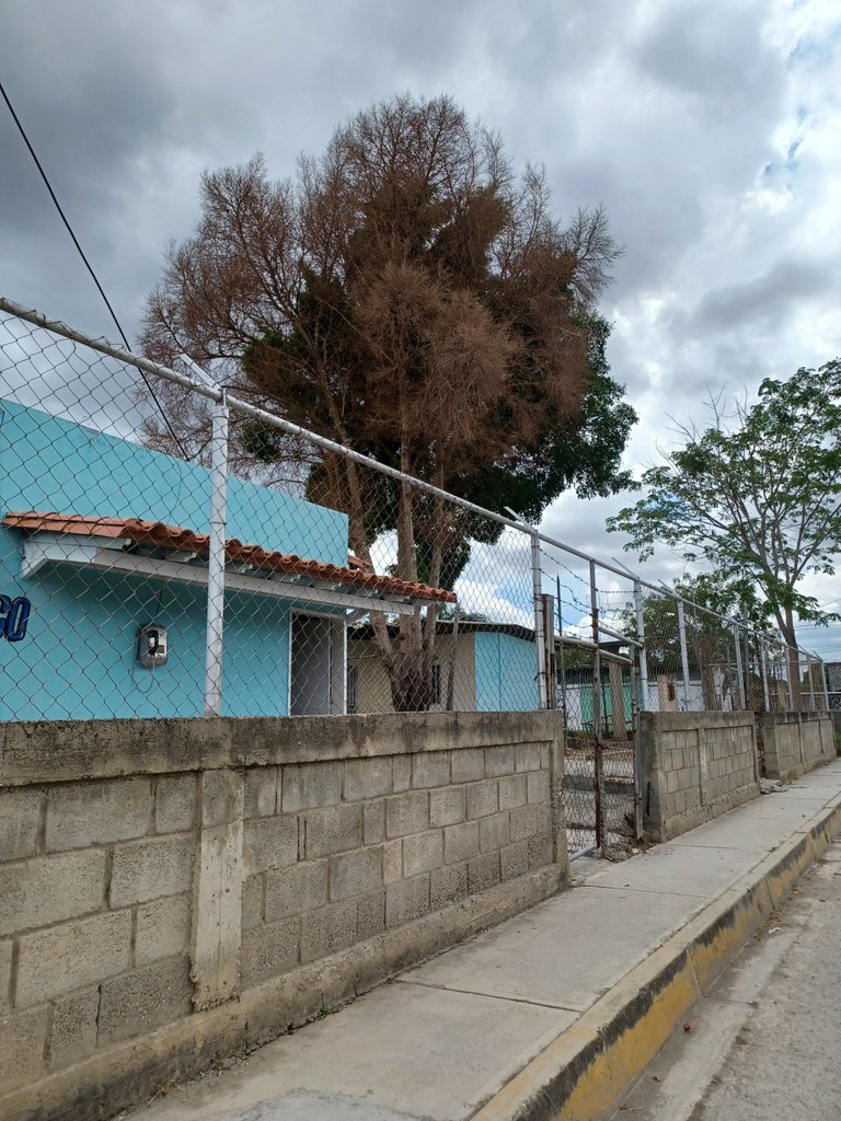20230216_121708.jpg