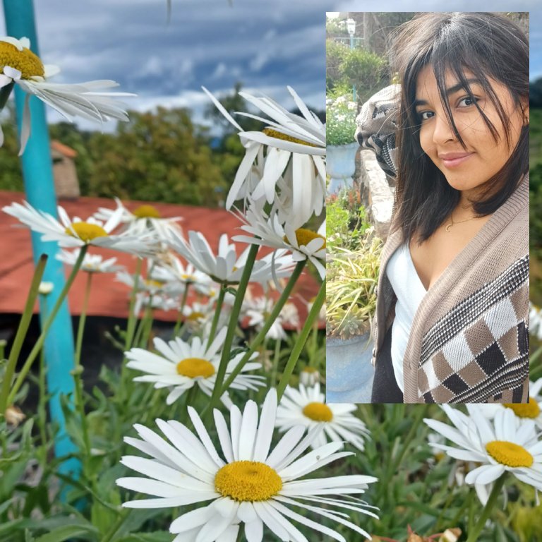20250719_202416.jpg