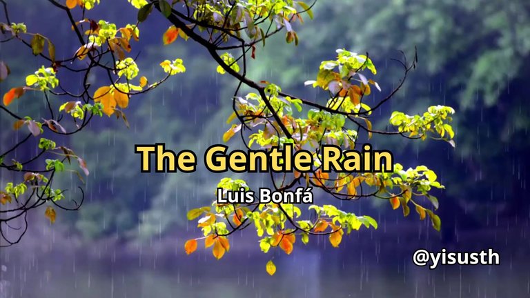 rain_cover (1).jpg