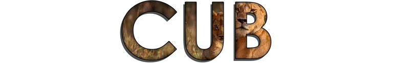 Cub.png