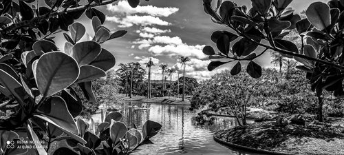 IMG_20211211_122616.jpg