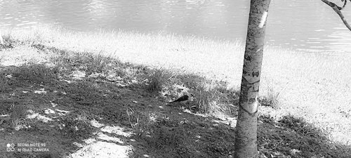 IMG_20211211_122824.jpg