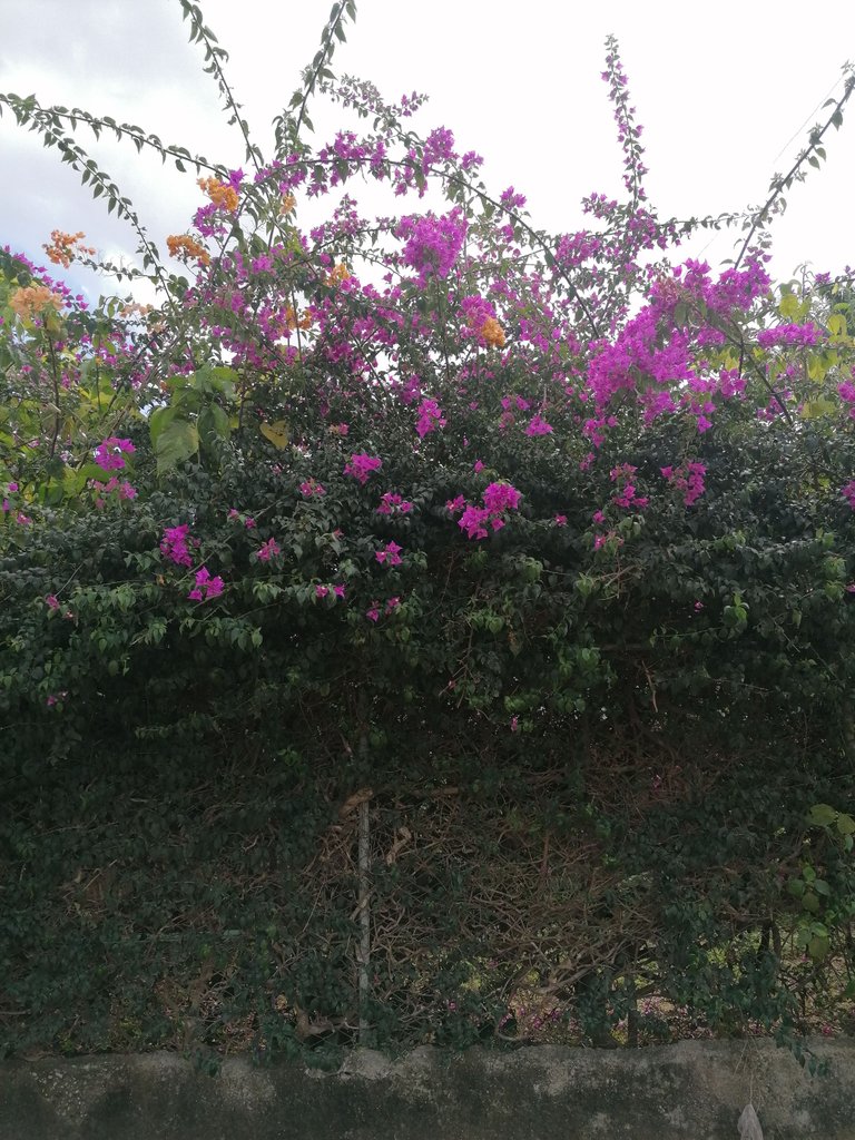 IMG_20230321_151422.jpg