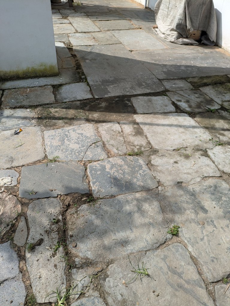 1000091552.jpg