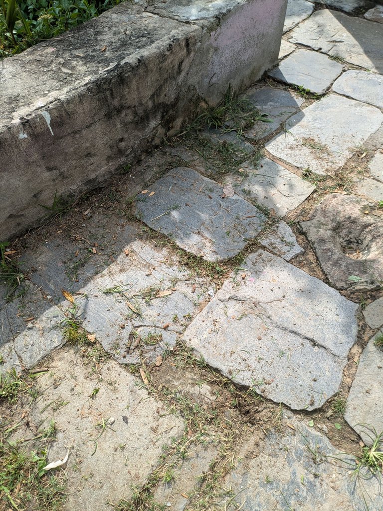1000091551.jpg