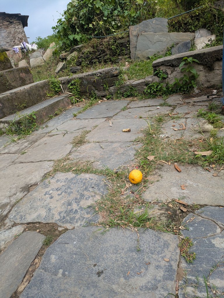 1000091548.jpg