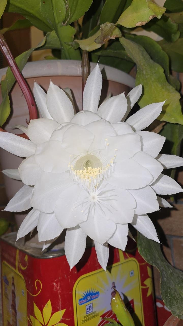 1000177877.jpg