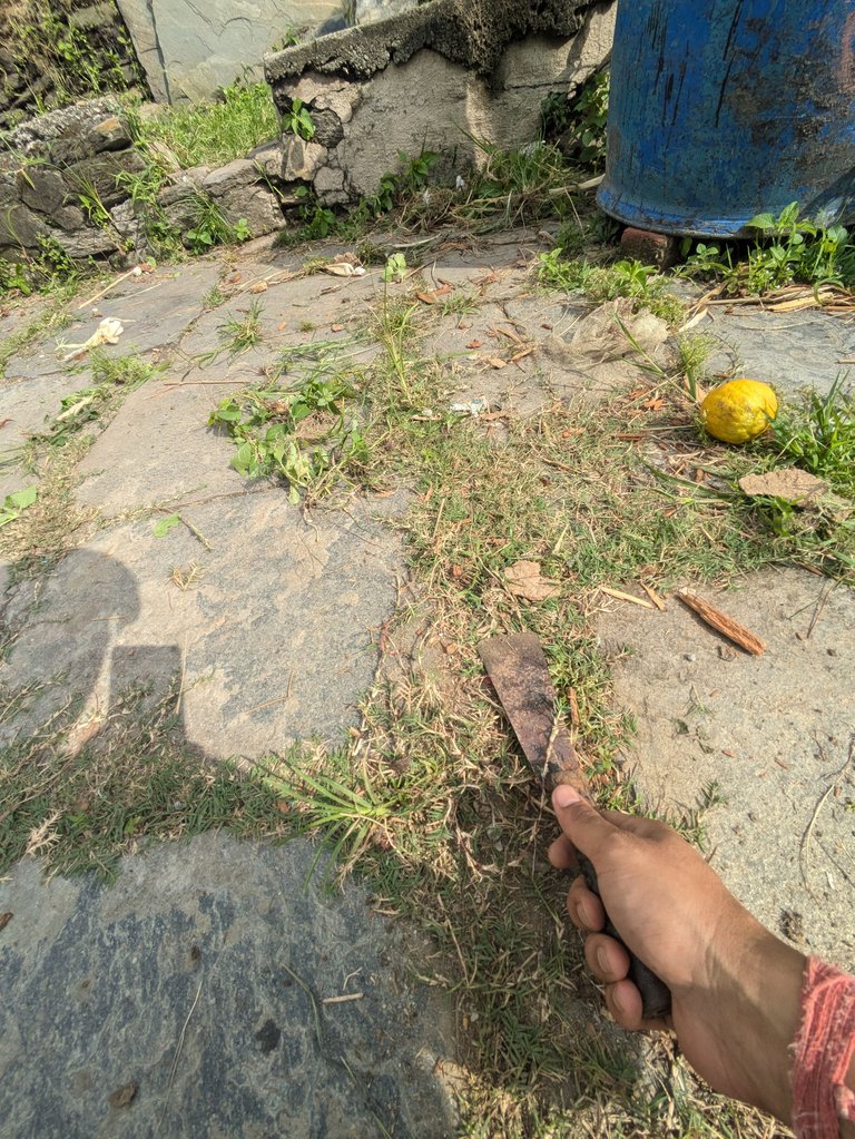 1000091550.jpg