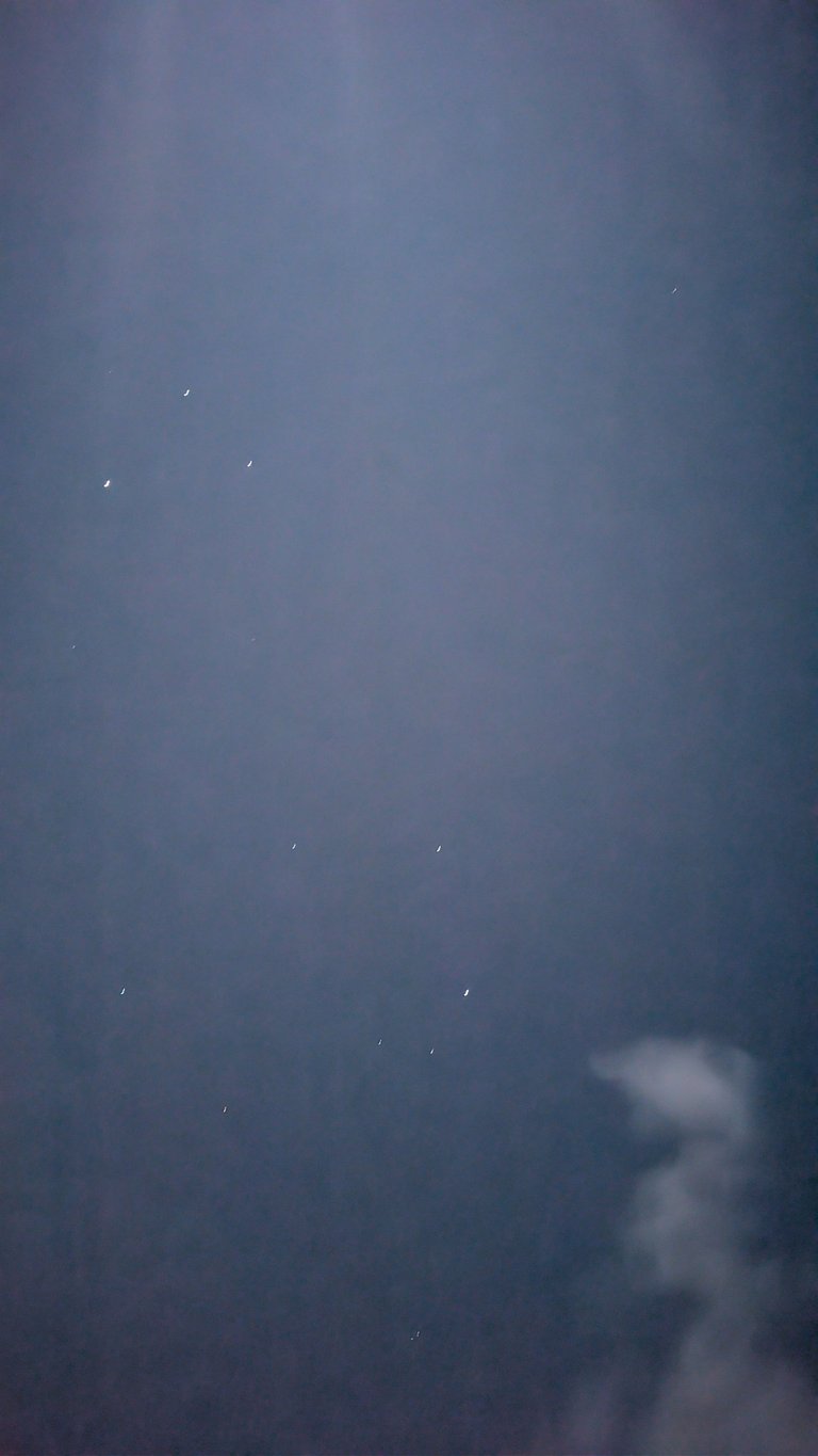 1000138774.jpg
