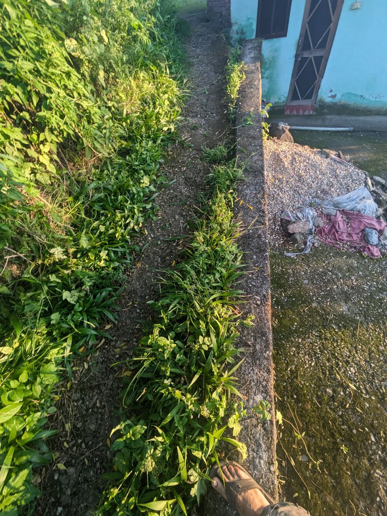 1000091441.jpg