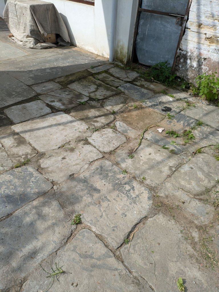 1000091553.jpg