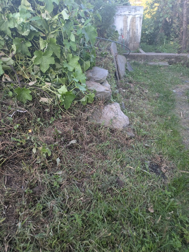 1000091434.jpg