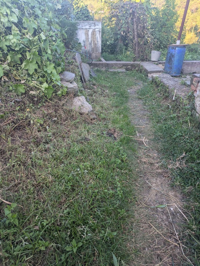 1000091433.jpg