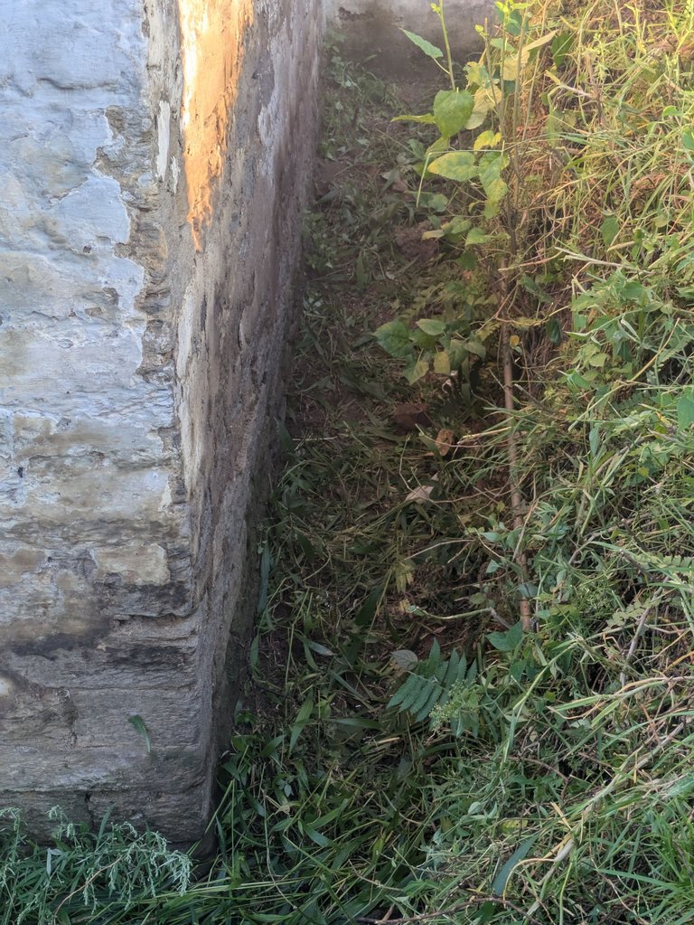 1000091432.jpg