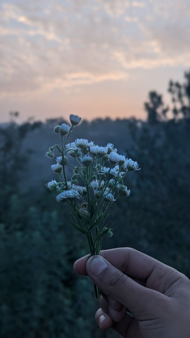 1000163970.jpg