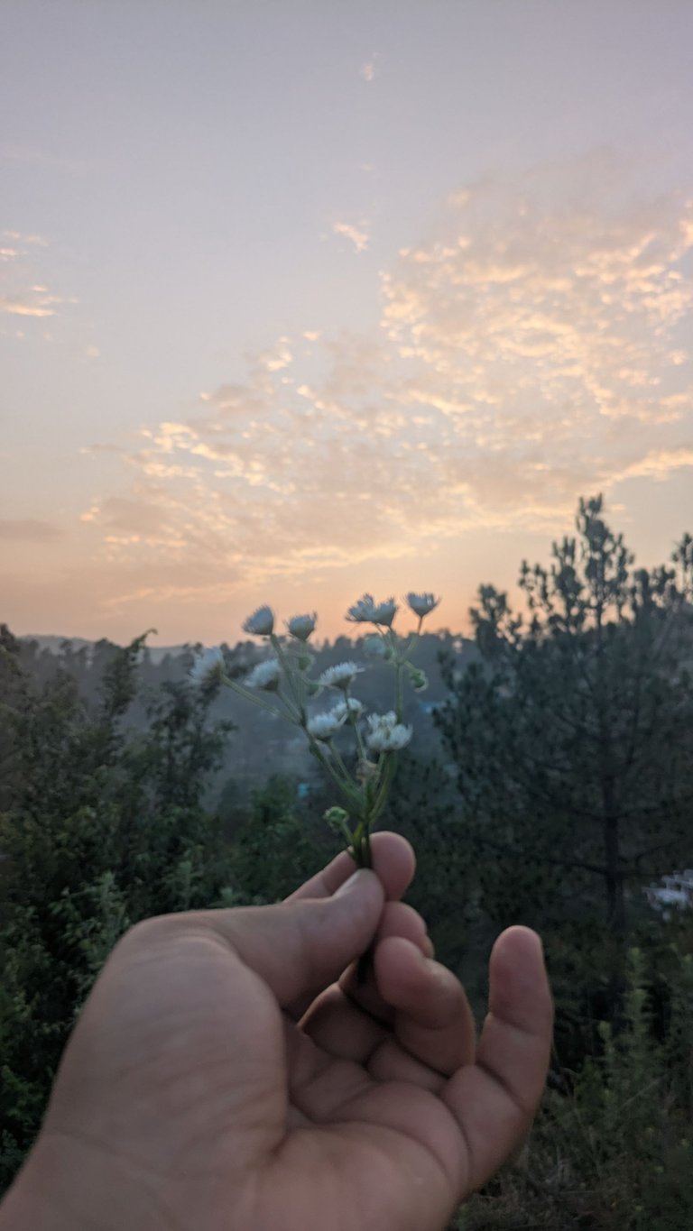 1000163967.jpg