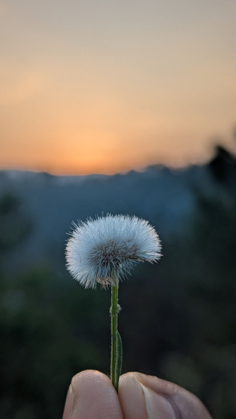 1000152050.jpg