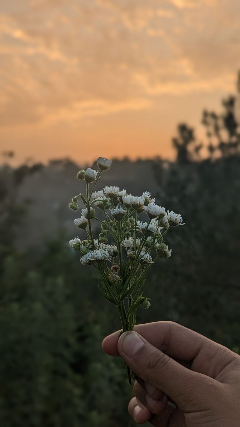 1000163971.jpg