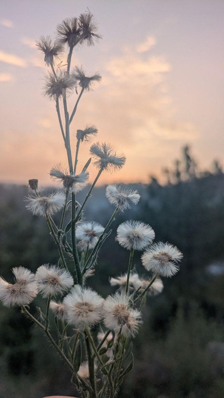1000163960.jpg