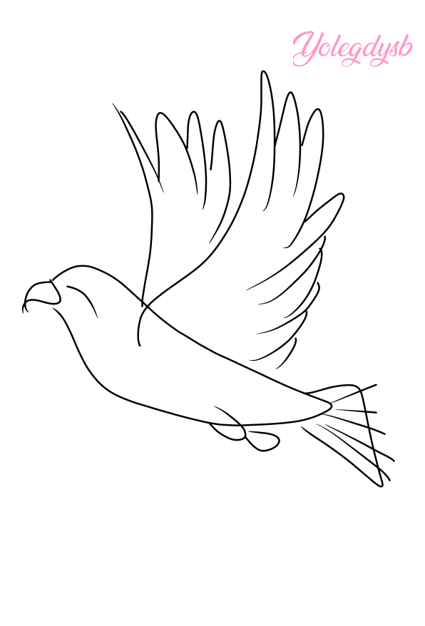 1.png