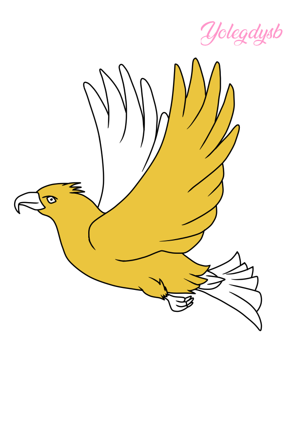 4.png