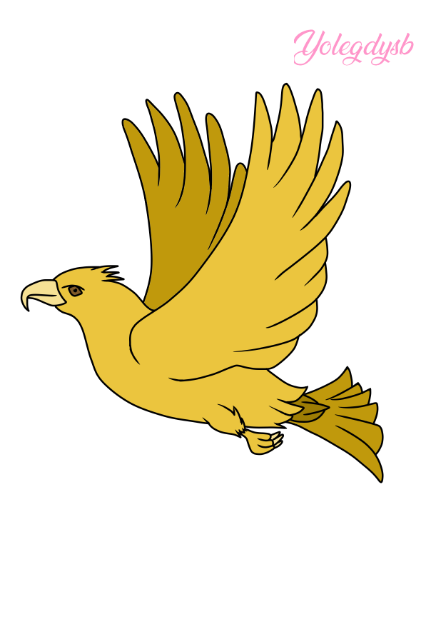 6.png