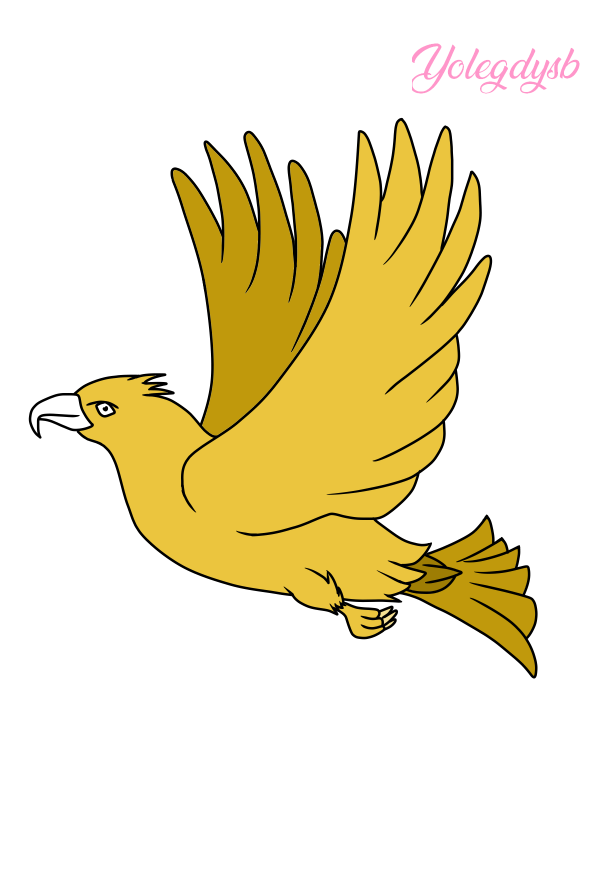 5.png