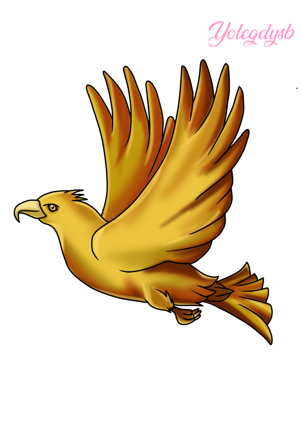 8.png
