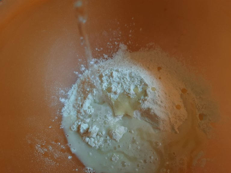 20230127_115153.jpg