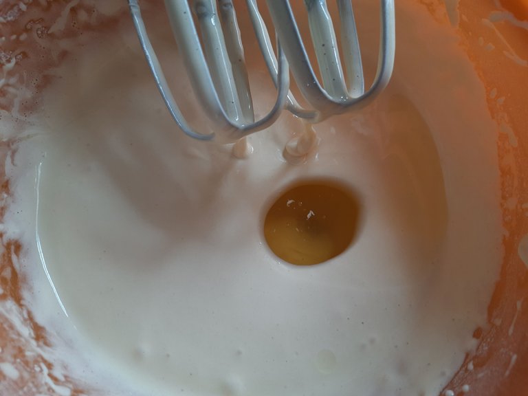 20250406_135419.jpg