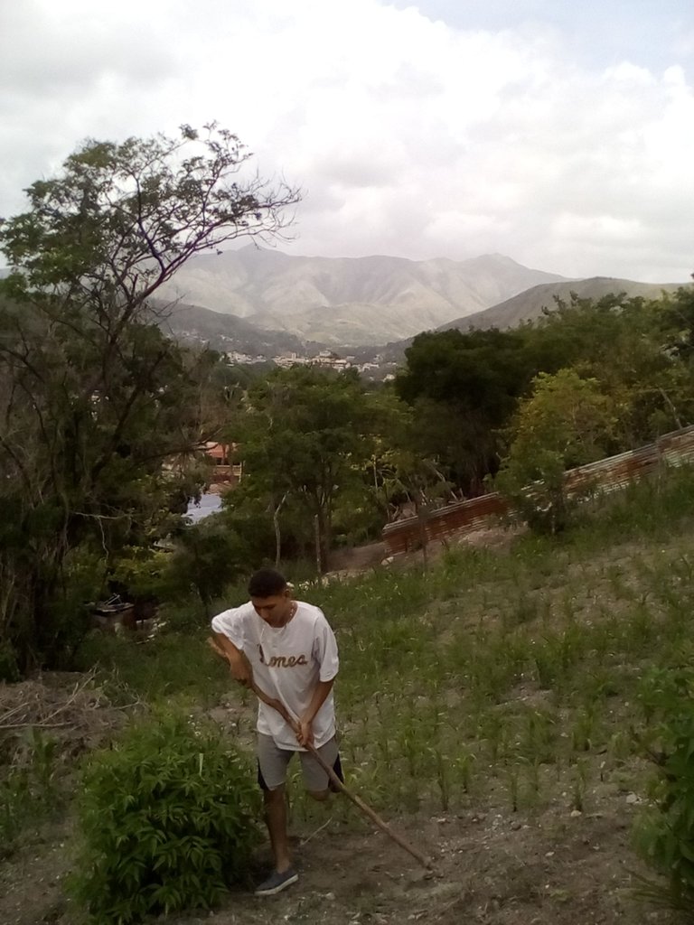 fotos 6 023.jpg