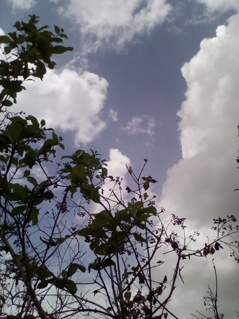 fotos 6 041.jpg