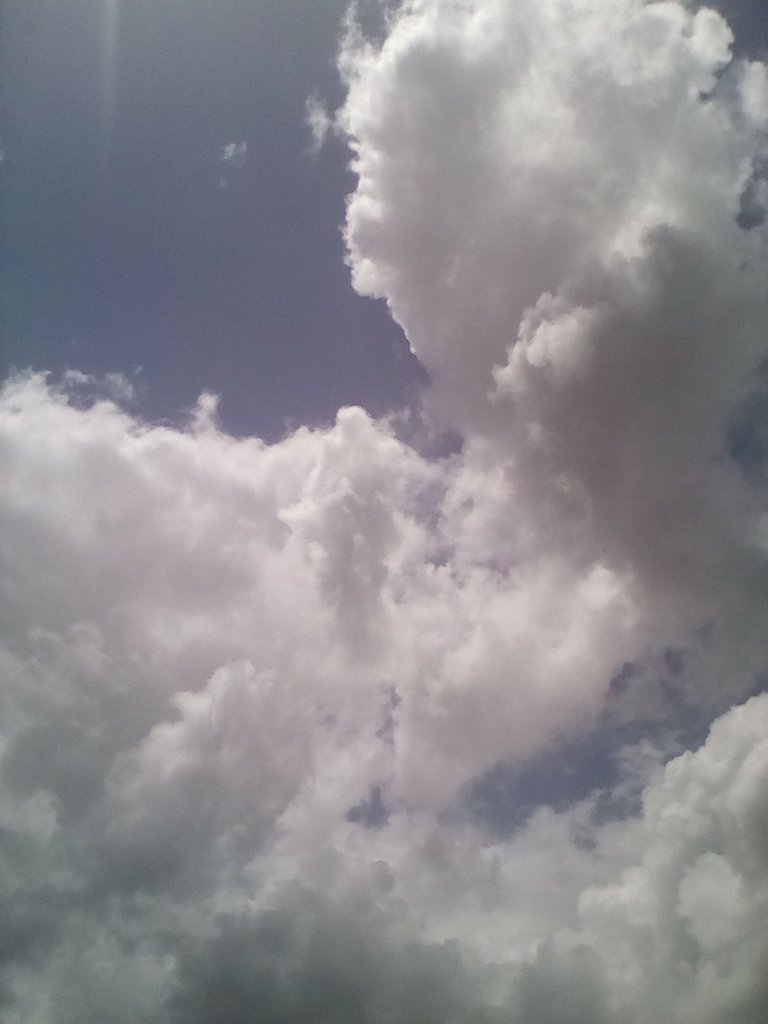 fotos 6 060.jpg