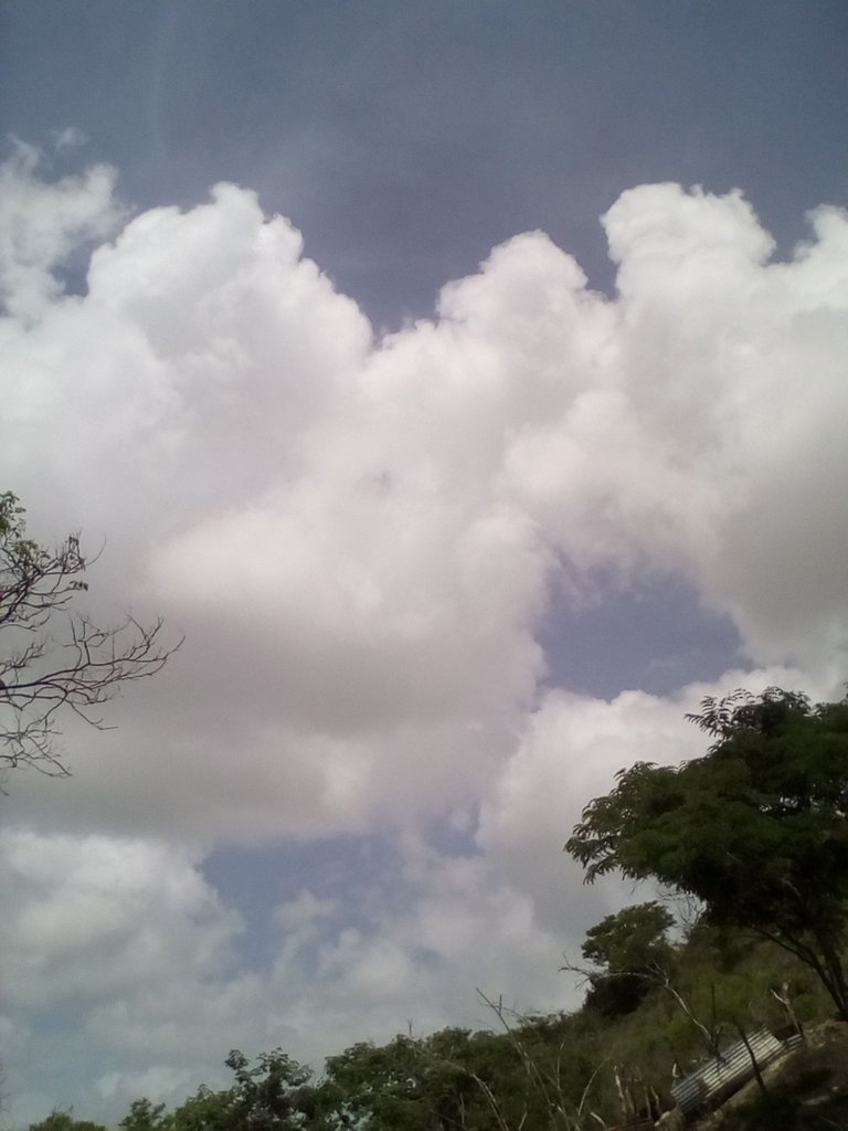 fotos 6 059.jpg