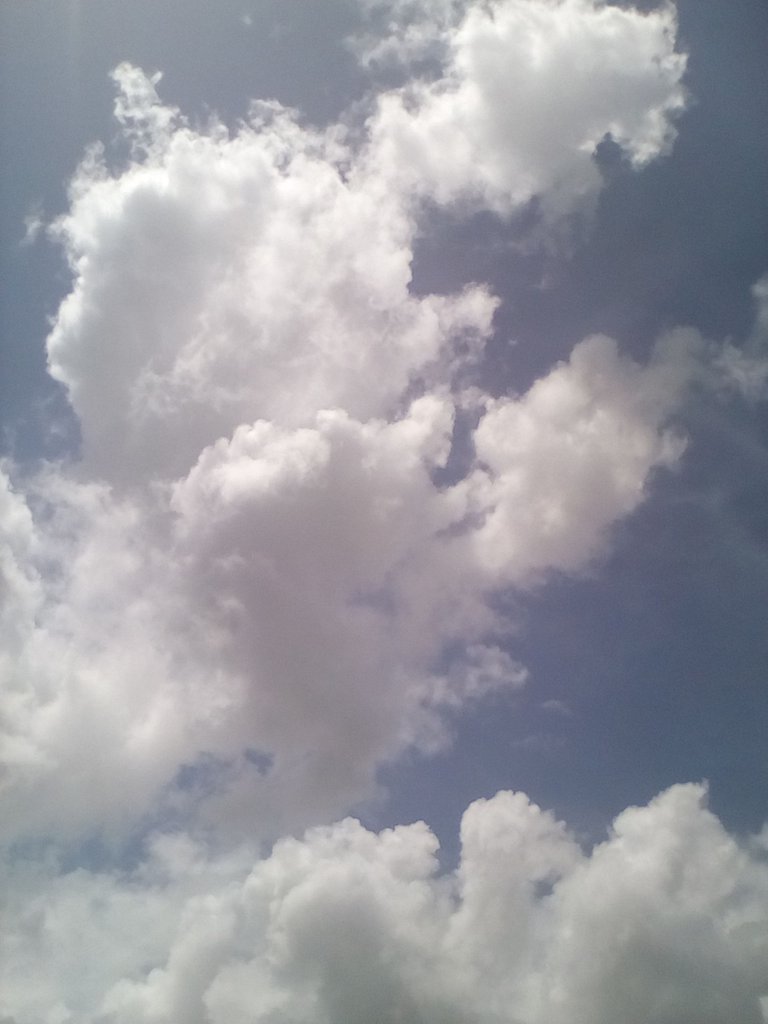 fotos 6 058.jpg