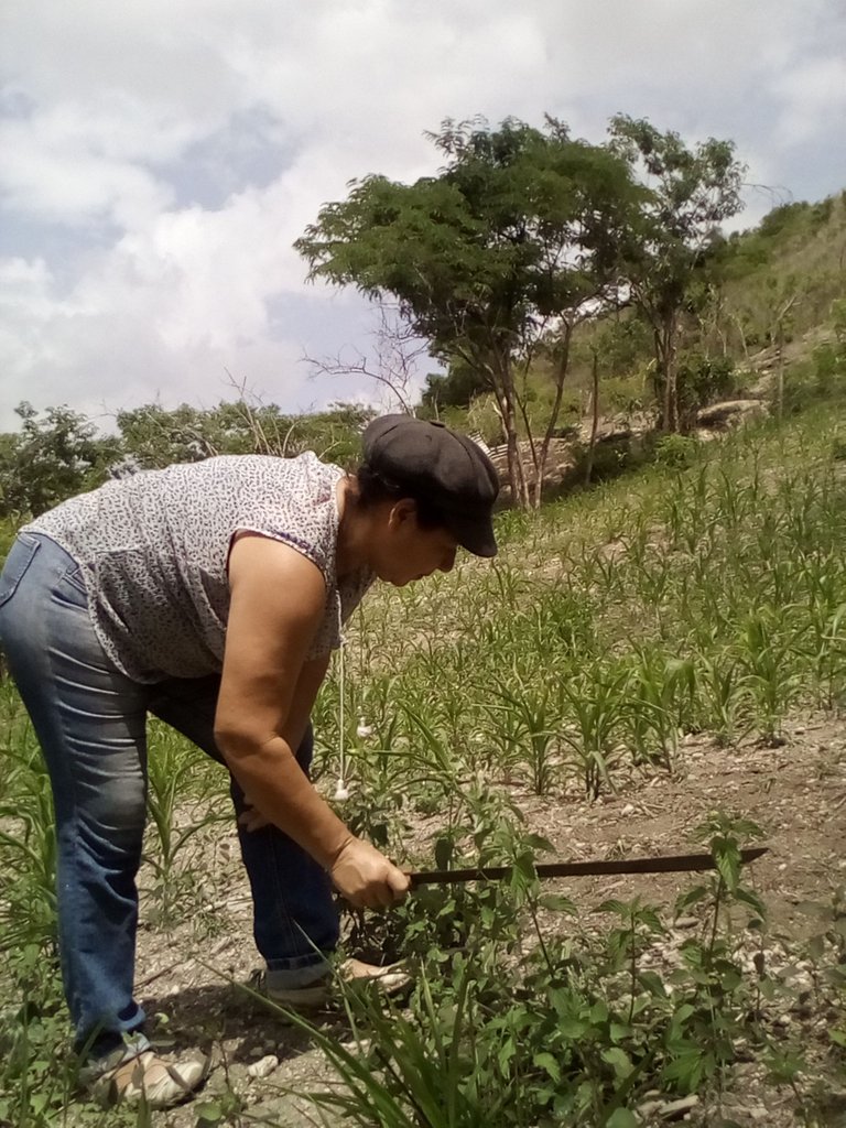 fotos 6 014.jpg