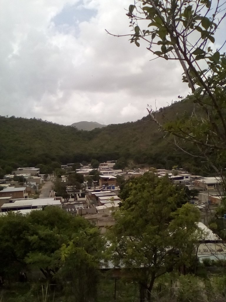 fotos 6 039.jpg
