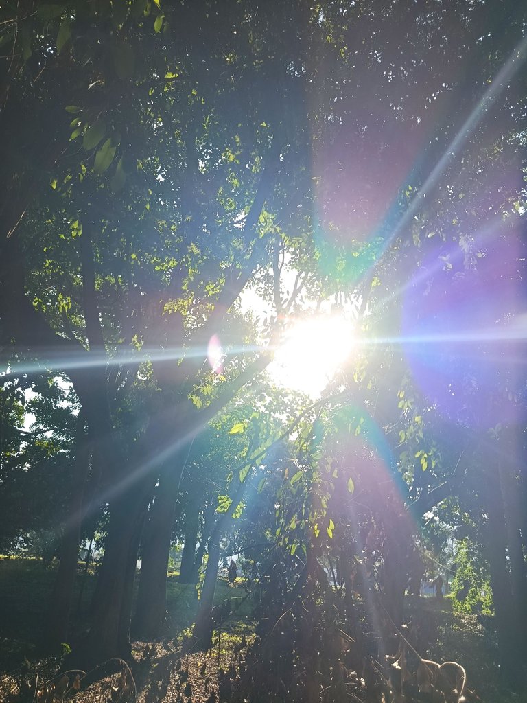 1000130617.jpg