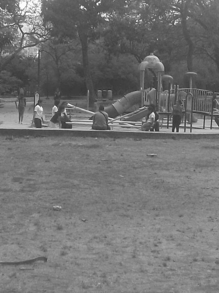 IMAGEN DE PARQUE INFANTIL PARQUE DEL ESTE.jpg