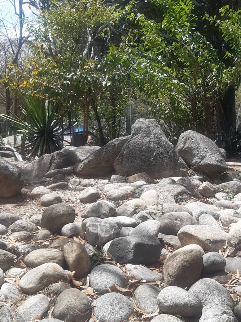 JARDIN XEROFILO FOTO 7.jpg