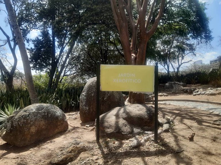 jARDIN XEROFILO FOTO 1.jpg