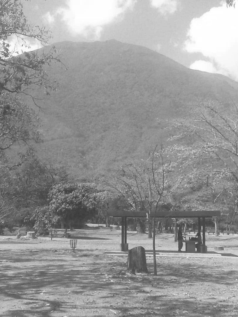 QUIOSCO PARA PICNI PARQUE DEL ESTE - copia.jpg